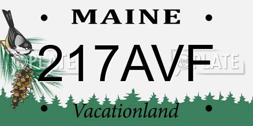 217AVF Maine License Plate