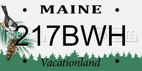 217BWH Maine License Plate