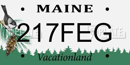 217FEG Maine License Plate