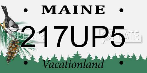 217UP5 Maine License Plate