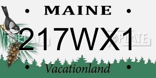 217WX1 Maine License Plate