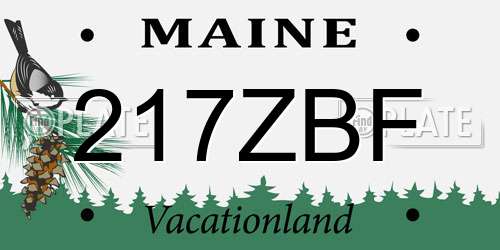 217ZBF Maine License Plate