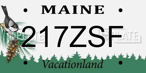 217ZSF Maine License Plate