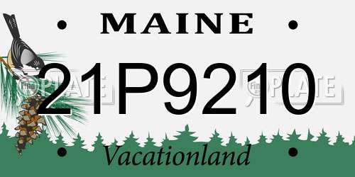 21P9210 Maine License Plate