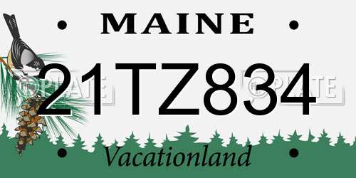 21TZ834 Maine License Plate