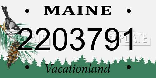 2203791 Maine License Plate