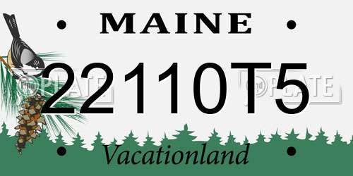 22110T5 Maine License Plate