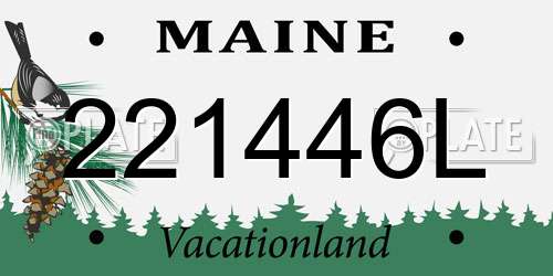 221446L Maine License Plate