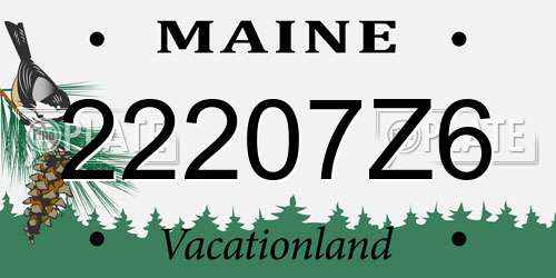 22207Z6 Maine License Plate