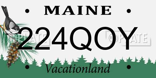 224QOY Maine License Plate