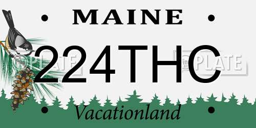224THC Maine License Plate