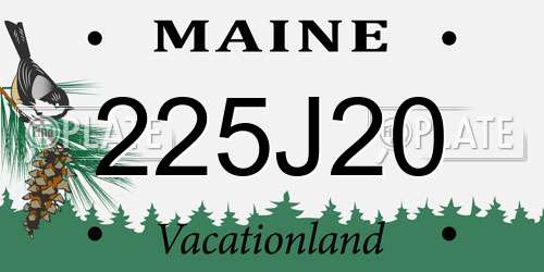 225J20 Maine License Plate