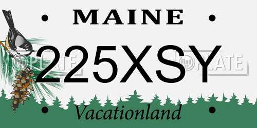 225XSY Maine License Plate