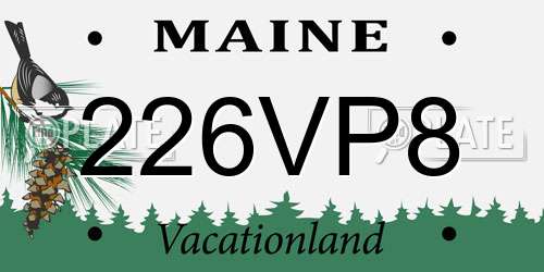 226VP8 Maine License Plate