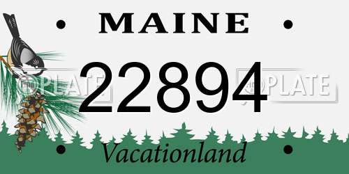 22894 Maine License Plate