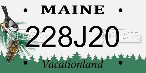 228J20 Maine License Plate