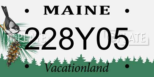 228Y05 Maine License Plate