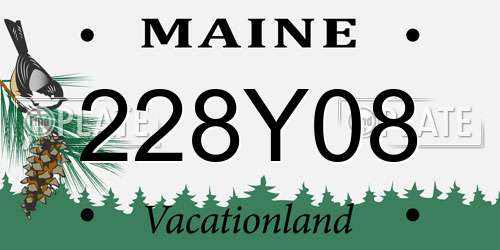 228Y08 Maine License Plate