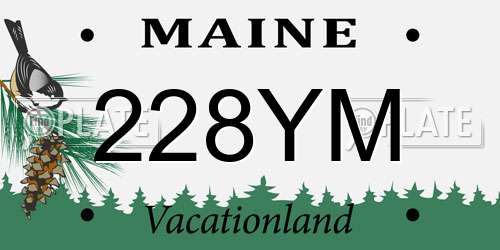 228YM Maine License Plate