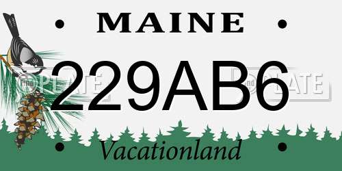 229AB6 Maine License Plate