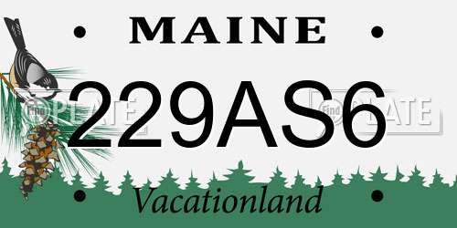 229AS6 Maine License Plate
