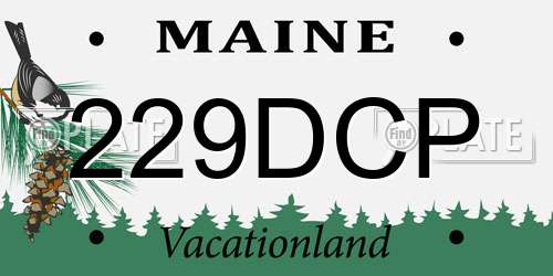 229DCP Maine License Plate