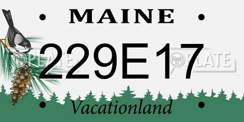 229E17 Maine License Plate