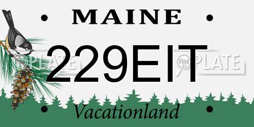 229EIT Maine License Plate