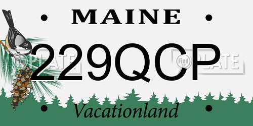 229QCP Maine License Plate