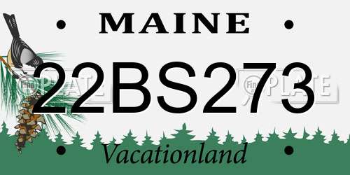 22BS273 Maine License Plate