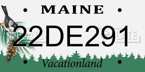 22DE291 Maine License Plate