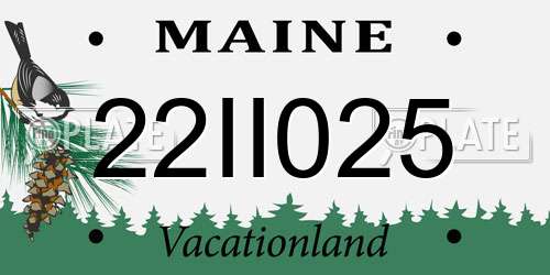 22II025 Maine License Plate