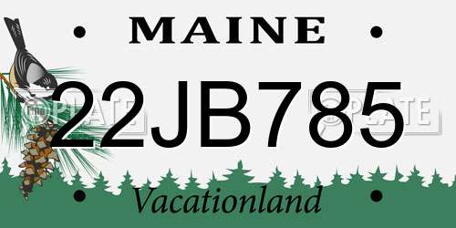22JB785 Maine License Plate