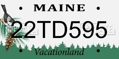 22TD595 Maine License Plate