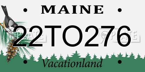 22TO276 Maine License Plate