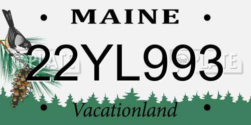 22YL993 Maine License Plate