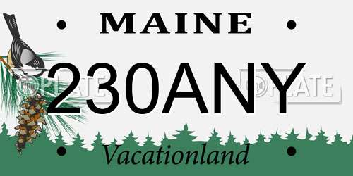 230ANY Maine License Plate