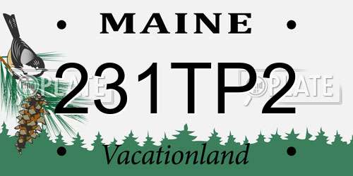 231TP2 Maine License Plate