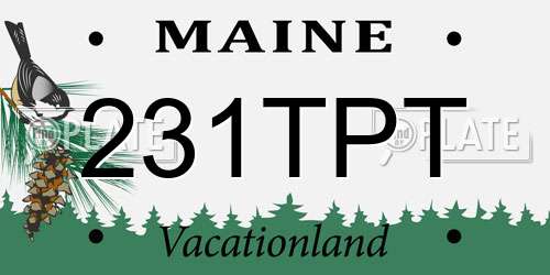 231TPT Maine License Plate