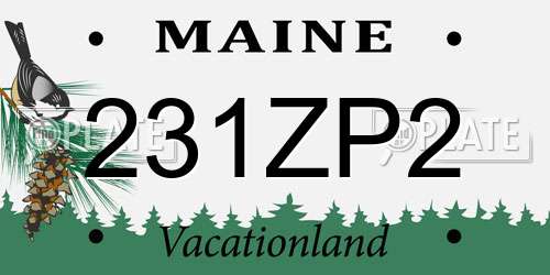 231ZP2 Maine License Plate