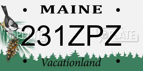 231ZPZ Maine License Plate