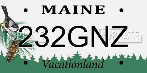 232GNZ Maine License Plate