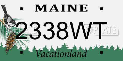 2338WT Maine License Plate