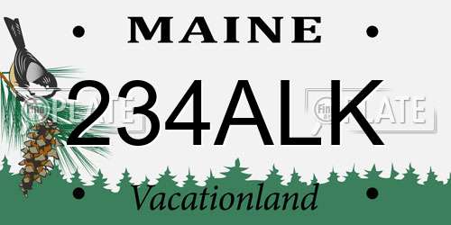 234ALK Maine License Plate