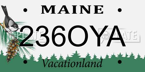 236OYA Maine License Plate