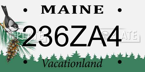 236ZA4 Maine License Plate