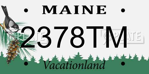 2378TM Maine License Plate