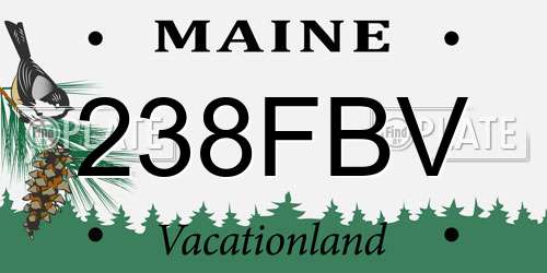238FBV Maine License Plate
