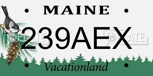 239AEX Maine License Plate