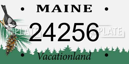 24256 Maine License Plate